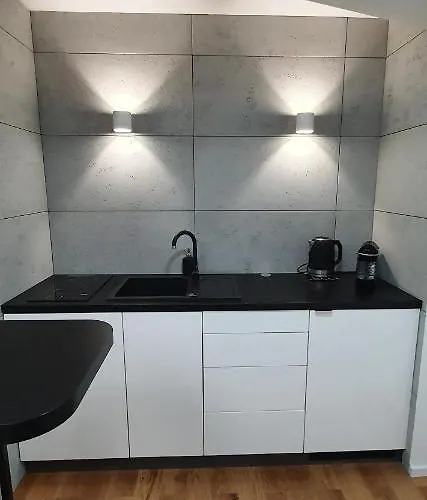 Apartment Vilda Poznan